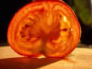 Как заготовить семена томатов