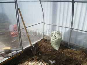 Сроки посадки томатов в теплицу из поликарбоната