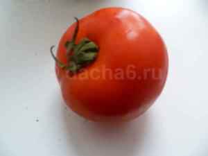 Список семян томатов от производителей ГМО