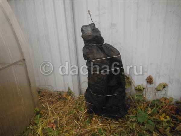 Глобальное потепление отменяется