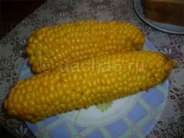 Как консервировать кукурузу на зиму в домашних условиях