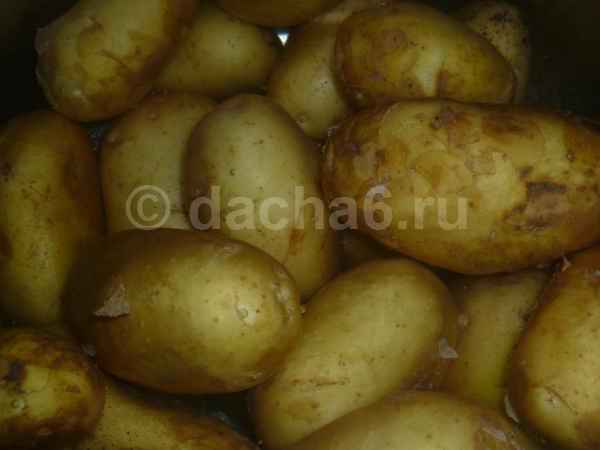 При какой температуре замерзает картошка при хранении на балконе