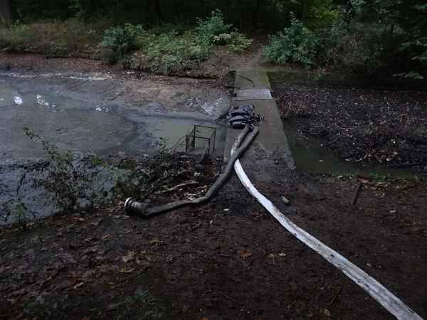 Сапропель как удобрение: применение на огороде
