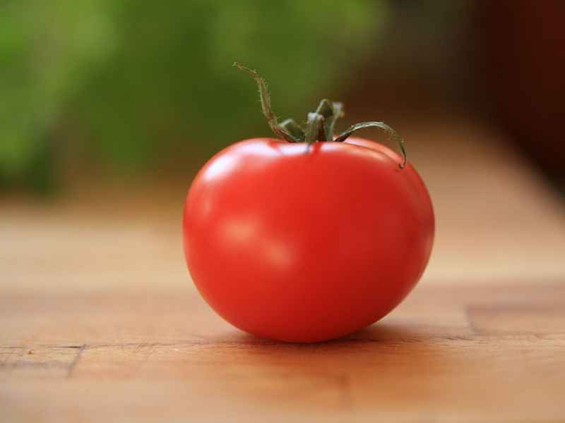 Томат «Король ранних»: отзывы, фото, описание