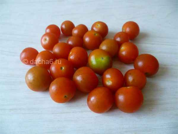 Выращивание томатов Свит черри F1
