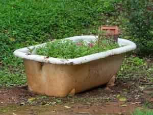 Использование старой ванны на огороде