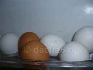 Мыть ли яйца?