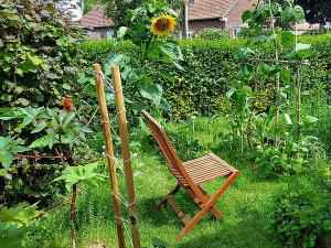 Пермакультура: практическое применение для сада огорода