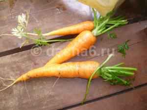 Признаки уборки моркови
