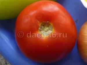 Выращивание томата Санька