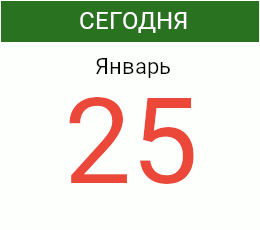 День 25 января 2027 года