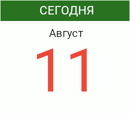 День 11 августа 2026 года