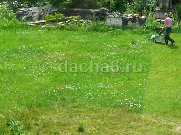 Дачников в России больше не будет