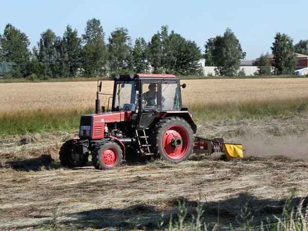 Ставку единого сельхозналога будут назначать регионы