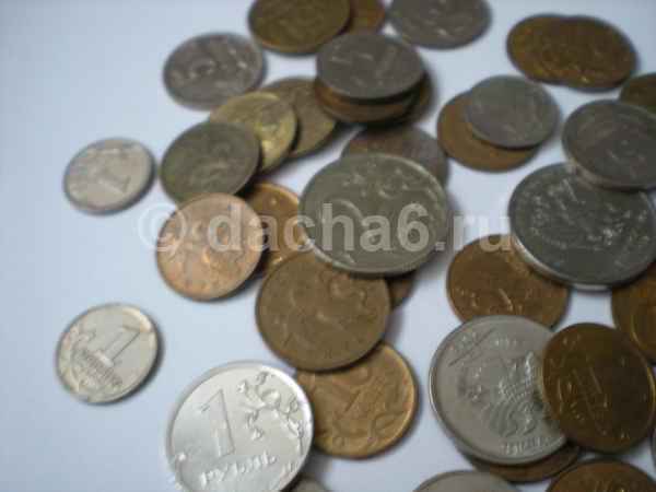 Заработные платы в сельском хозяйстве «ниже плинтуса»