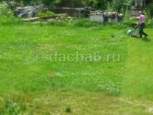 Дачников упраздняют