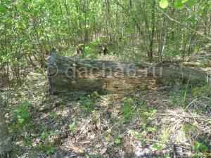 Пожарная безопасность на пять с плюсом