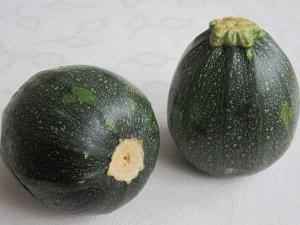 Кабаксон и патичок от астраханских селекционеров