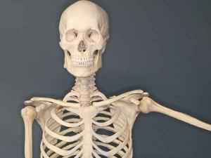 Древнее захоронение на огороде в Бурятии