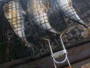 Новые правила пожарной безопасности для дачников