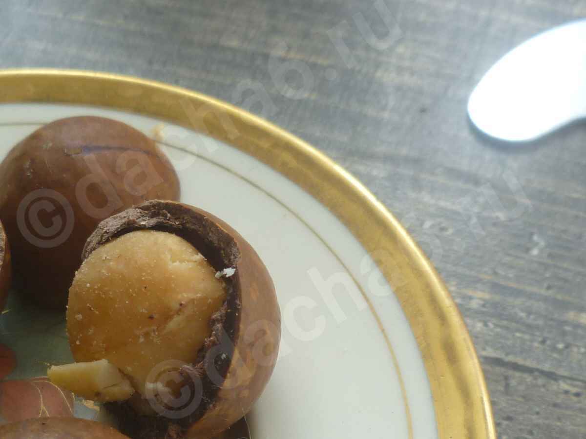 Ядро ореха макадамия как выглядит